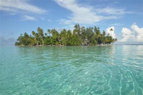 The 15 Best Things To Do In Tahaa 2023 With Photos Tripadvisor