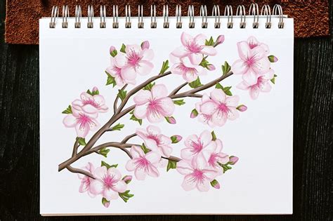 How To Draw A Cherry Blossom Realistic Sakura Flower Drawing Tutorial