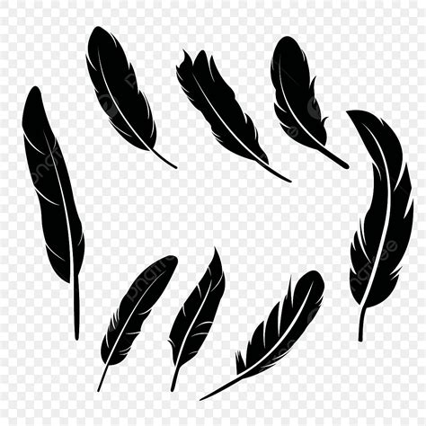 Feather Vector Png