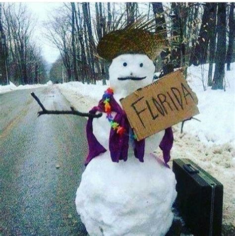 Pin By Peggy Mcchriston On Florida Humor Outdoor Snowman Snowman