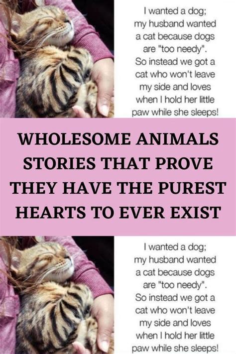 Wholesome Animals Stories That Prove They Have The Purest Hearts To