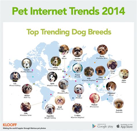 The Top Trending Dog Breeds Chelsea Dogs Blog