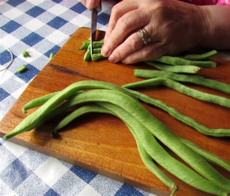 How To Sow Plant And Grow Runner Beans From Seeds In The Garden