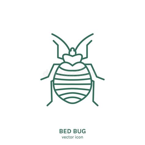 Common Bedbug Vector Artwork Stock Vector Illustration Of Common