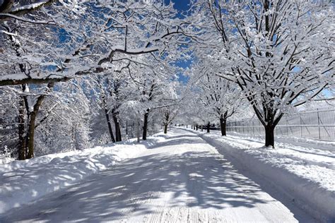 Amazing Winter Photos Of Rochester New York And Beyond