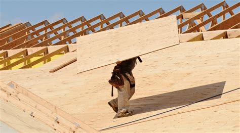 What Is The Best Type Of Plywood For Roofing Roof Critics