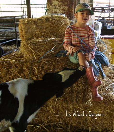 the wife of a dairyman ~ churned in cali sweetheart the dairy calf