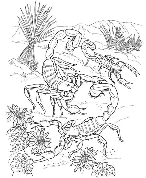 Scorpio Coloring Pages For Adult Coloringbay