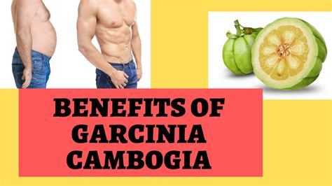 garcinia cambogia know its benefits and uses youtube