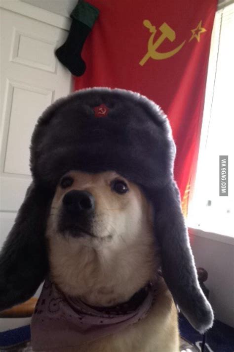 The Bolshevik Dog You Won A Ticket To The Gulag Comrade 9gag