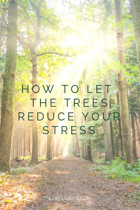 How To Let The Trees Reduce Your Stress Lorelsberg