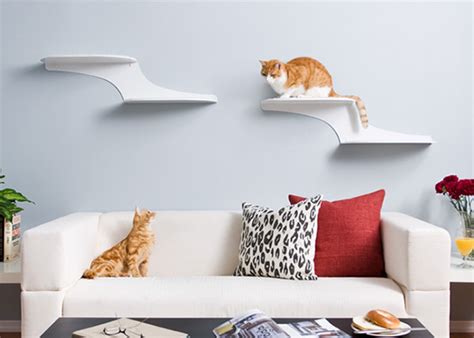 Best invention for my cat ever! Cat Clouds Climbing Shelves from The Refined Feline ...