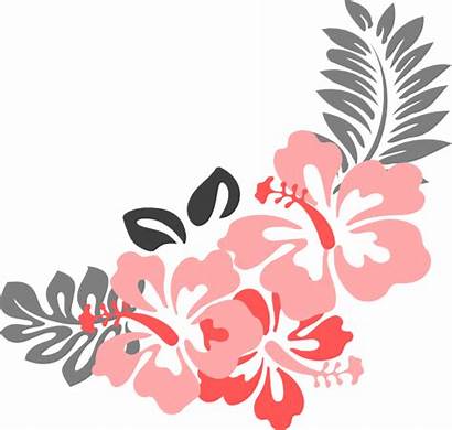 Grey Hibiscus Coral Clipart Border Floral Svg