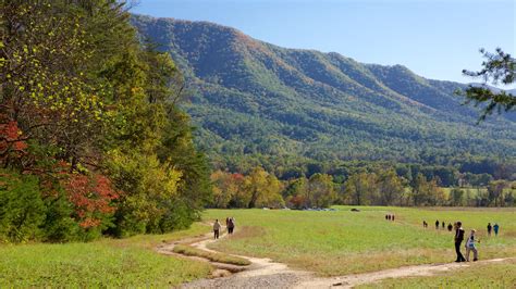 The Best Hotels Closest To Cades Cove In Townsend For 2021 Free