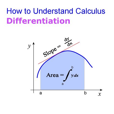 What Is Calculus A Beginners Guide To Limits And Differentiation