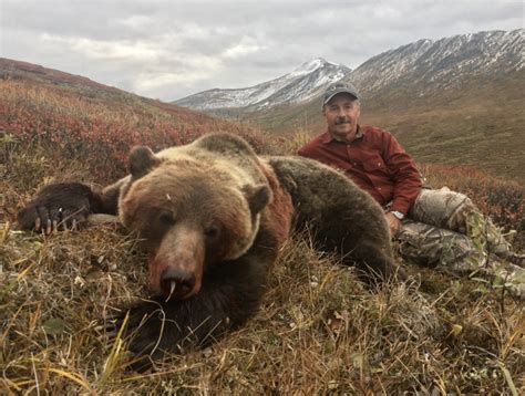 Yukon Fall Grizzly Bear Hunt 10204