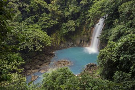 Rio Celeste Waterfall Hike And Tenorio National Park
