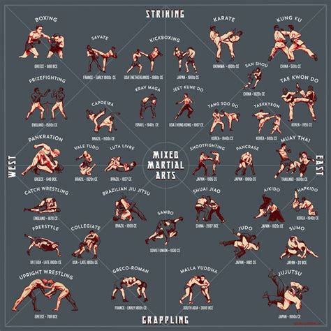 Mixed Martial Arts Fighting Styles Ufc
