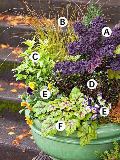 Review Of Winter Container Gardening 2022 Atelieartemae