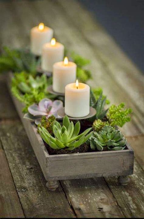 ciao! newport beach: winter ideas for succulents