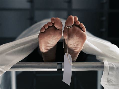 ¿cuál Es La Diferencia Entre Autopsia Y Necropsia Mejor Con Salud