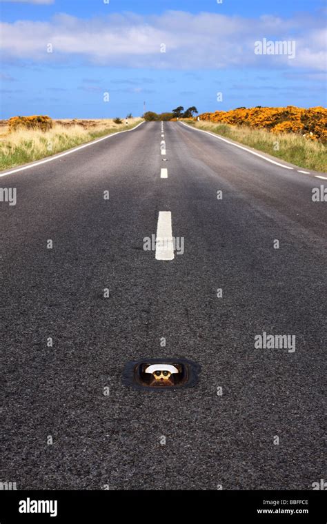 Middle Of The Road Stock Photo Alamy