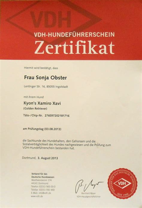 Vielmehr gilt er für einen halter und dessen hund gemeinsam. Hundeführerschein - Golden Adventure