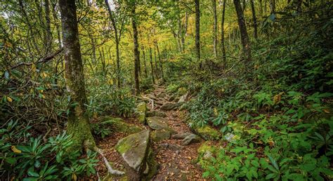 10 Stunning Hikes In North Carolina
