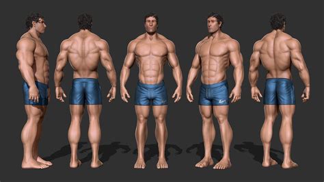 11,834 muscles torso stock video clips in 4k and hd for creative projects. zBrush - Anatomy Study - Male Bodybuilder - YouTube