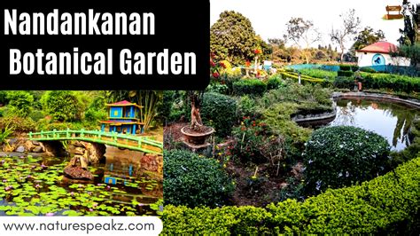 Nandankanan Botanical Garden Odisha Tourism Nature Speakz