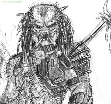 Predator Sketch 1 By Totenhammer On Deviantart