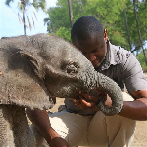 Elephant Havens Wildlife Foundation ???????? Infos zum Projekt