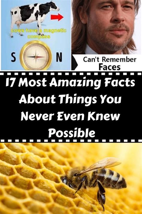 17 Most Amazing Facts About Things You Never Even Knew Possible Wow