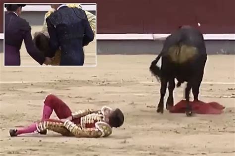 Spanish Matador 57 Fighting For Life After Being Gored By Bull In