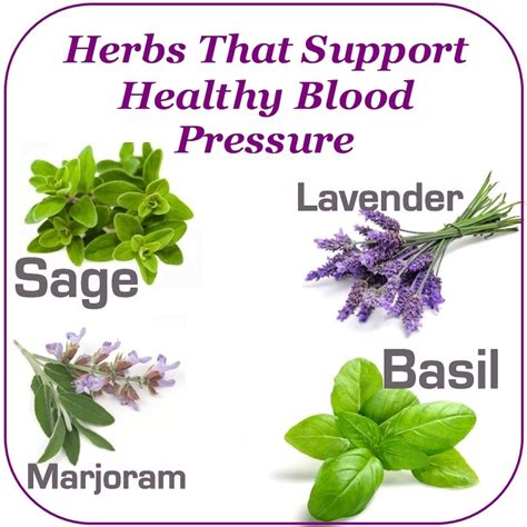Herbs That Support Healthy Blood Pressure Ask Nurse Mary