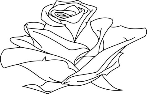 Eine einzigartige und handgefertigte zeichnung für ihr modernes zuhause oder als ein besonderes. Clipart - Rose Line Art