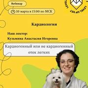 Услуги Ветеринарные курсы онлайн | вебинары – 8 услуг | ВКонтакте
