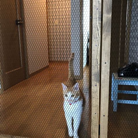 【diy】ウッドフェンスを作る 横貼り編【フェンス】/ how to build a wood fence. #猫脱走防止 #DIY#リフォーム#イープラス#ラブリコ#マグネット ...