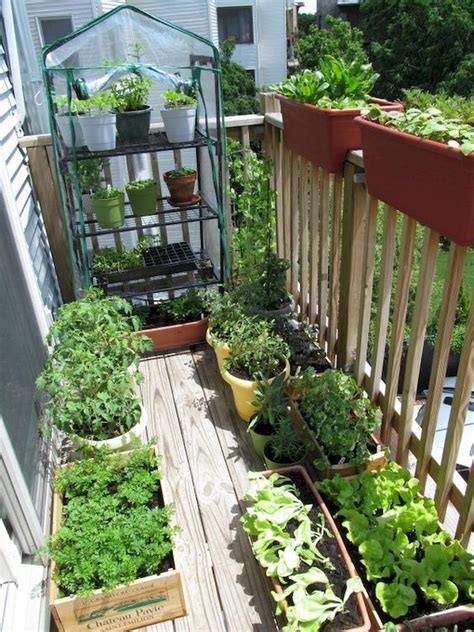 Cool 35 Stunning Vegetable Backyard For Garden Ideas Roomadness