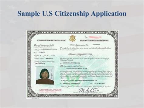 Who Can Apply For Us Citizenship