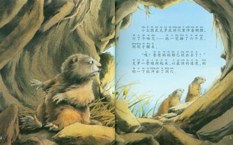 My Animal Friends 10 Books Chinese Books Story Books