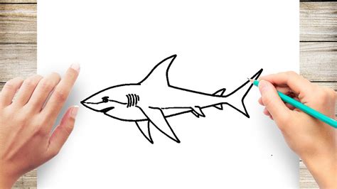 How To Draw A Shark Step By Step Aesthetic Drawing