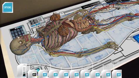 Anatomy 4d Edshelf