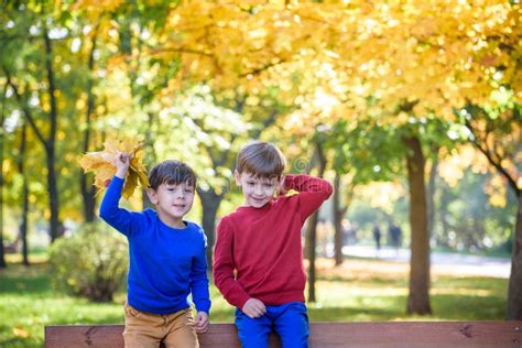 Happy Friends Schoolchildren Having Fun In Autumn Park Among Fallen