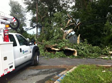 Does New Montgomery County Tree Removal Law Fail To See The Forest For