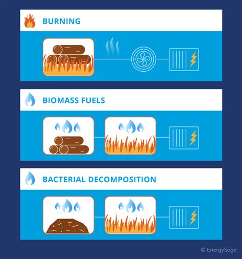 Biomass What You Need To Know Energysage