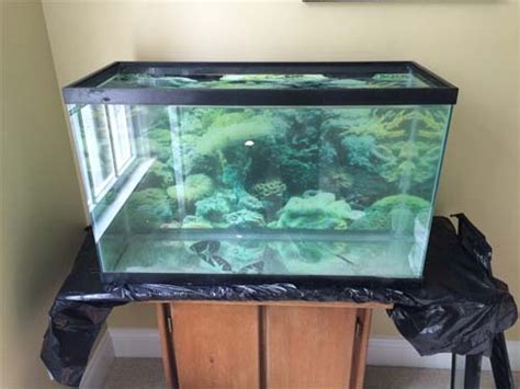 Quarantine Tank Setup Saltwater Aquarium Blog