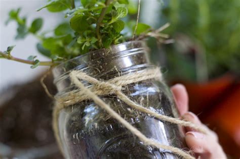 Diy Mason Jar Hanging Herb Planter Ramshackle Glam