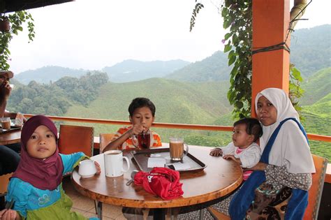 Bergambar di dalam kawasan kebun teh. Harga sebuah perjalanan hidup: Jalan Jalan Cameron Highland