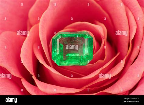 Natural Green Emerald Gemstone On Red Rose Flower Stock Photo Alamy